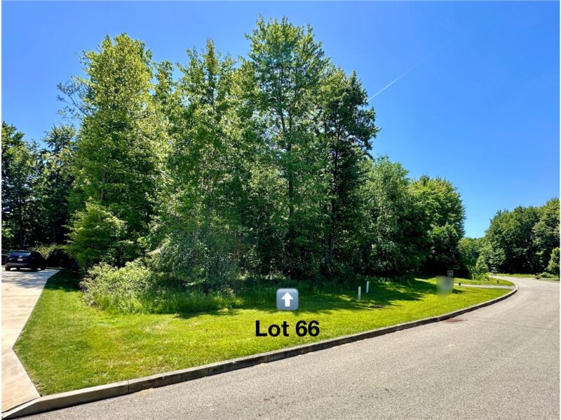 LOT#66 Alexander Crossing — photo 5