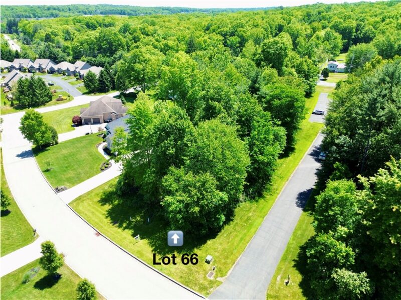 LOT#66 Alexander Crossing — photo 6
