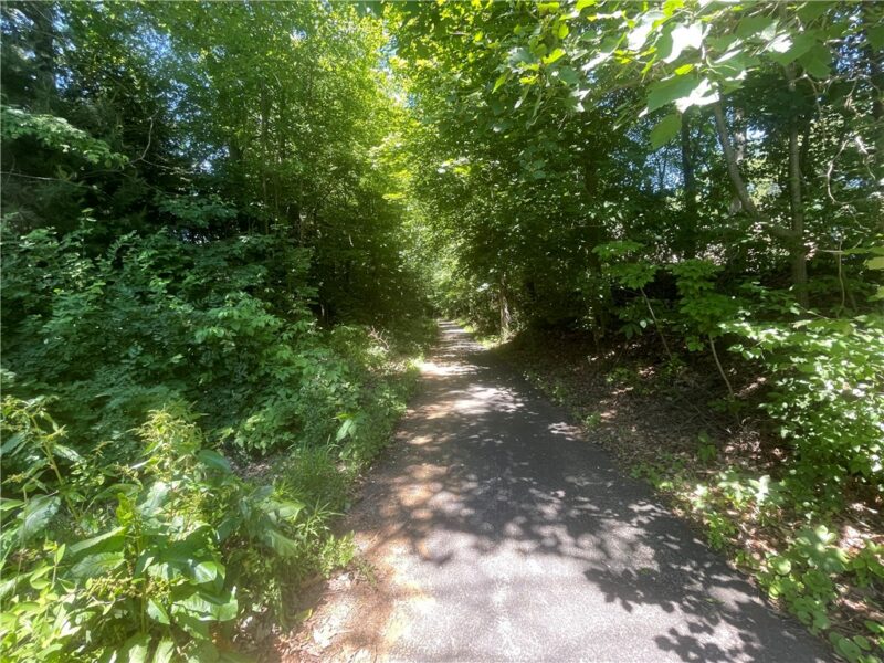 LOT#66 Alexander Crossing — photo 7