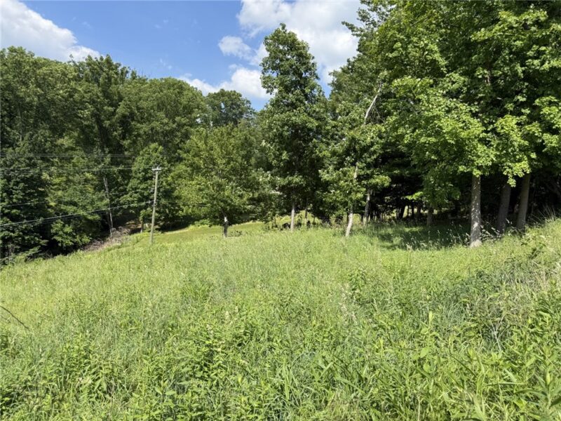 Lots 206 and 208 Old Woods Drive — photo 2