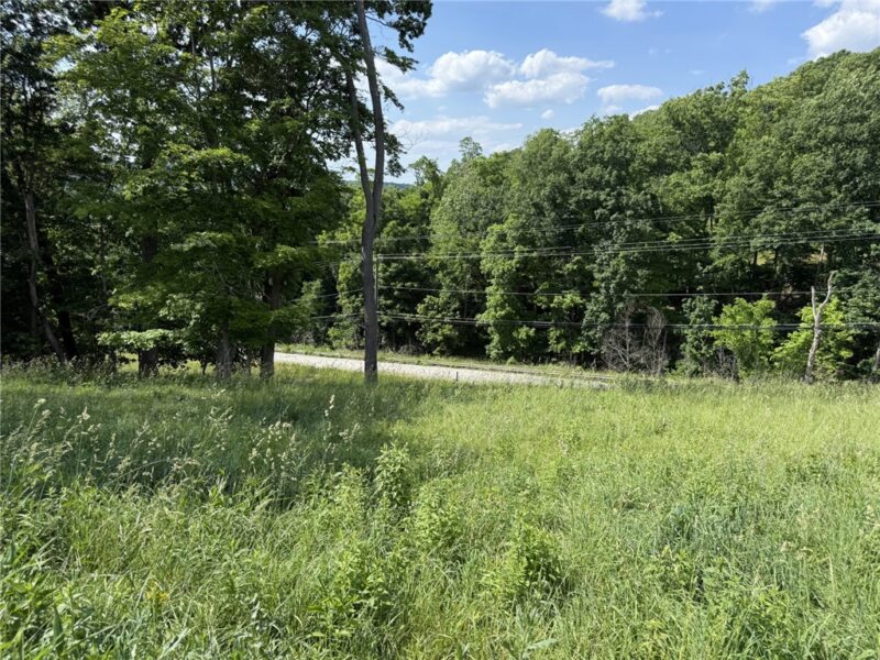 Lots 206 and 208 Old Woods Drive — photo 3