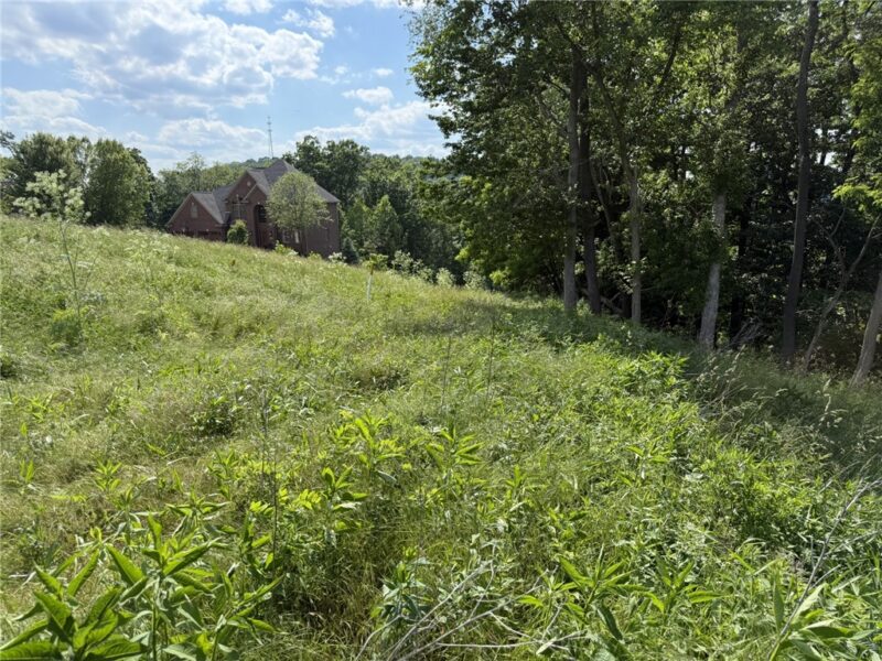 Lots 206 and 208 Old Woods Drive — photo 4