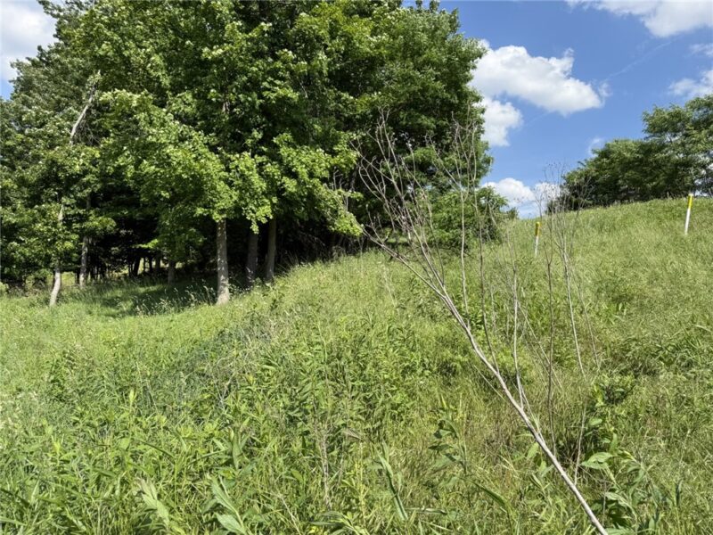 Lots 206 and 208 Old Woods Drive — photo 5