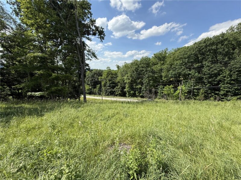 Lots 206 and 208 Old Woods Drive — photo 7