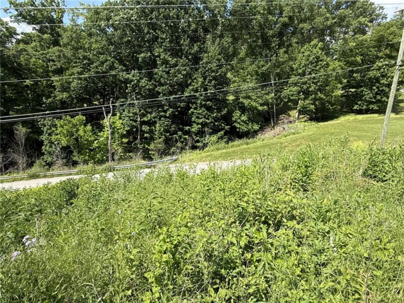 Lots 206 and 208 Old Woods Drive — photo 8