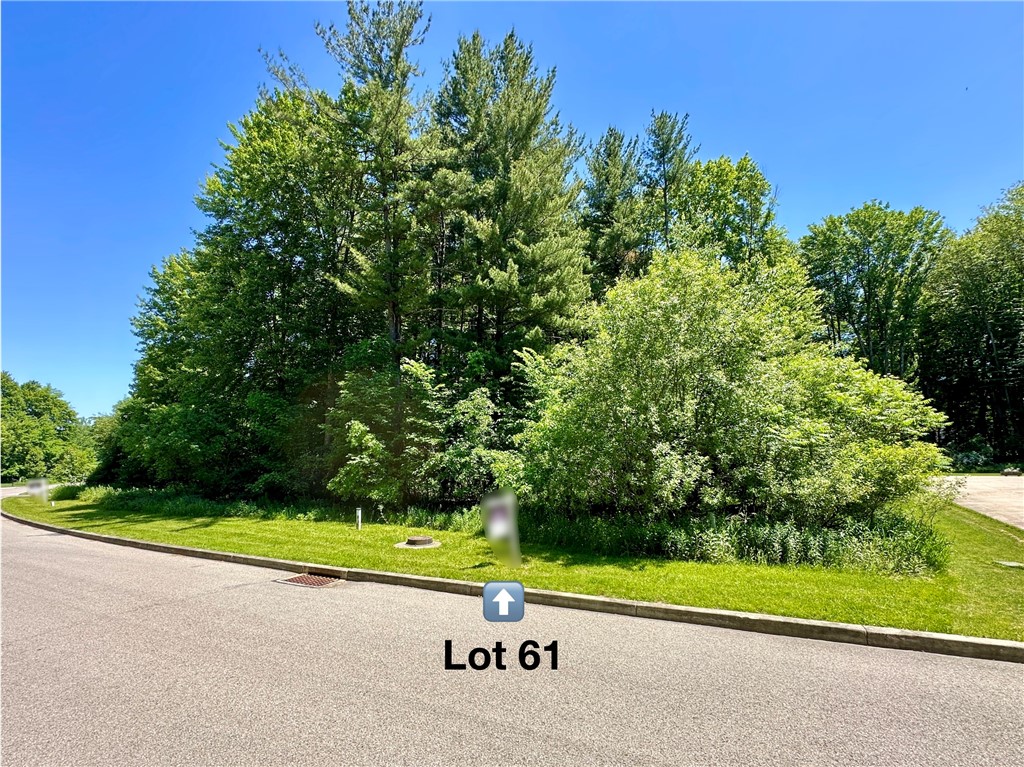 LOT #61 Alexander Crossing — photo 1