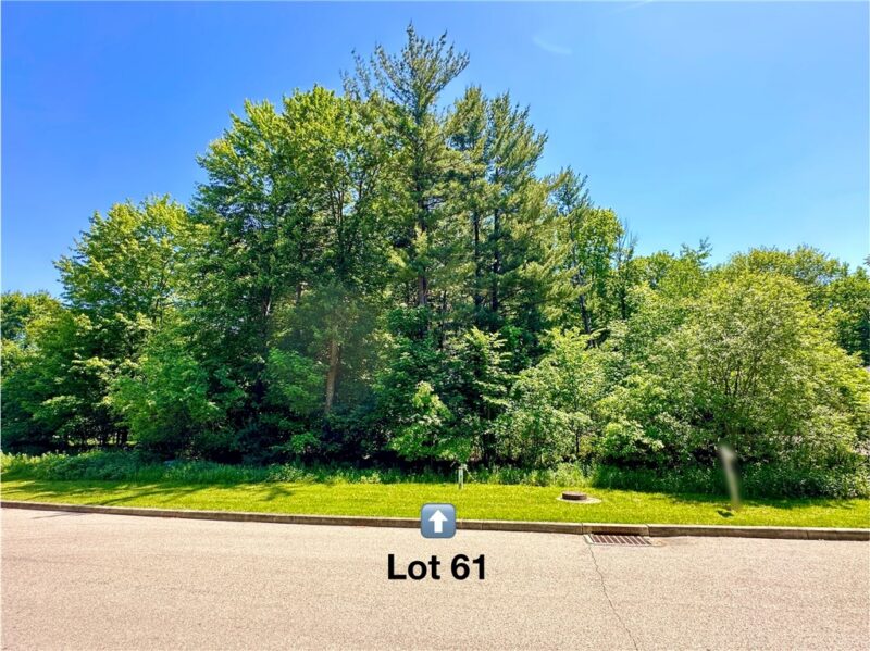LOT #61 Alexander Crossing — photo 6