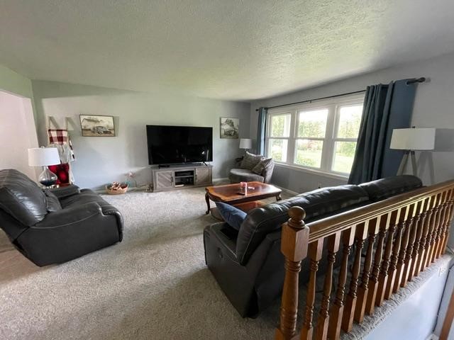 443 DUCK HOLLOW ROAD — photo 3