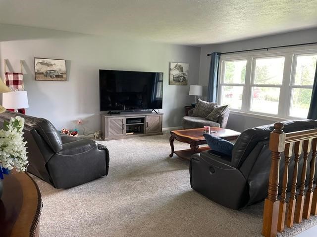 443 DUCK HOLLOW ROAD — photo 4