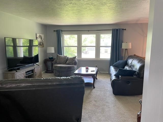 443 DUCK HOLLOW ROAD — photo 5