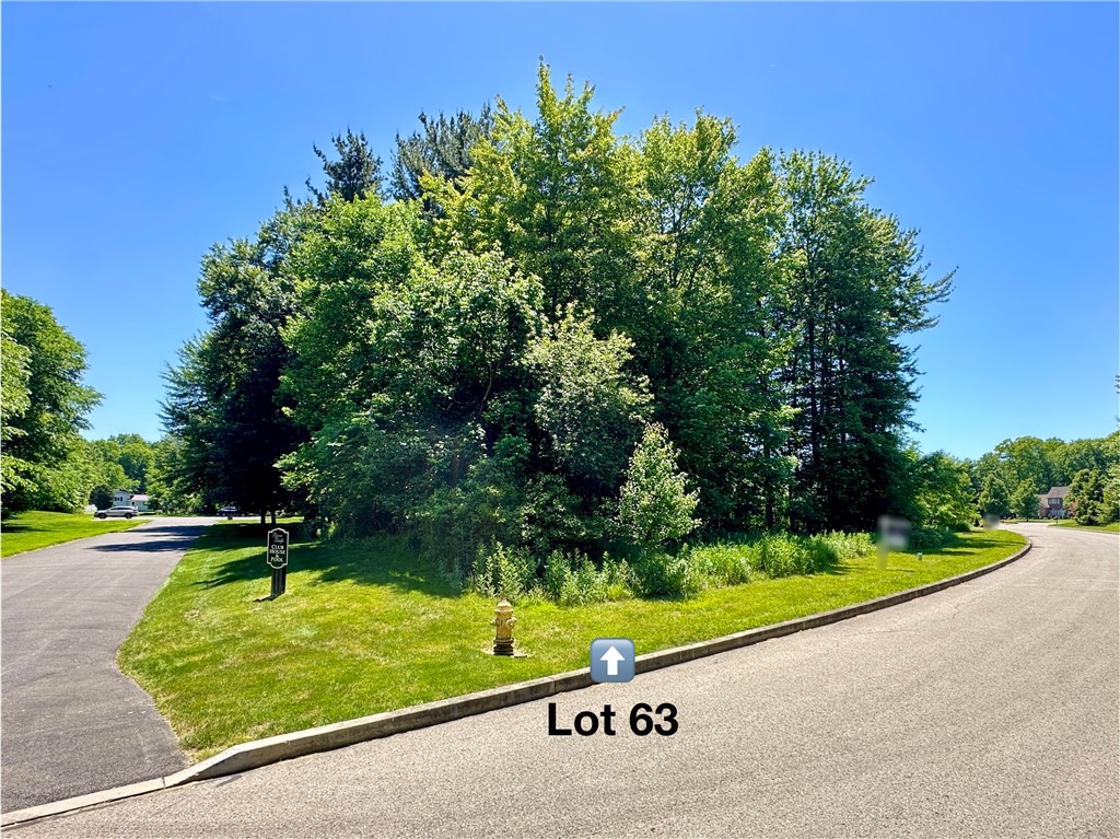 LOT #63 Alexander Crossing — photo 1