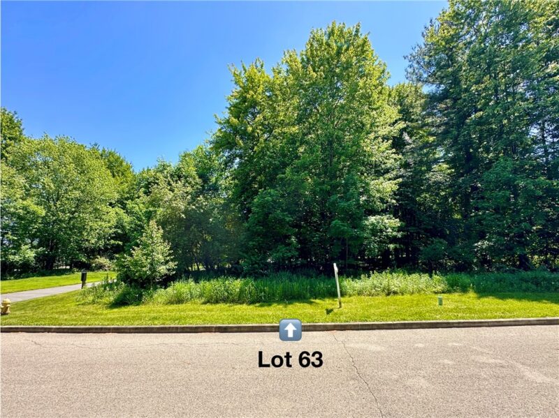 LOT #63 Alexander Crossing — photo 3