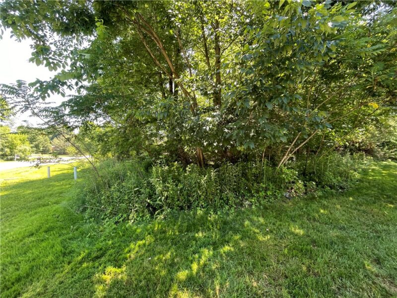 LOT #63 Alexander Crossing — photo 4