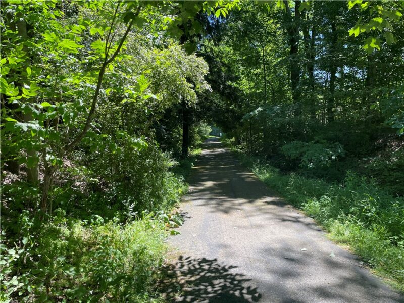 LOT #63 Alexander Crossing — photo 6