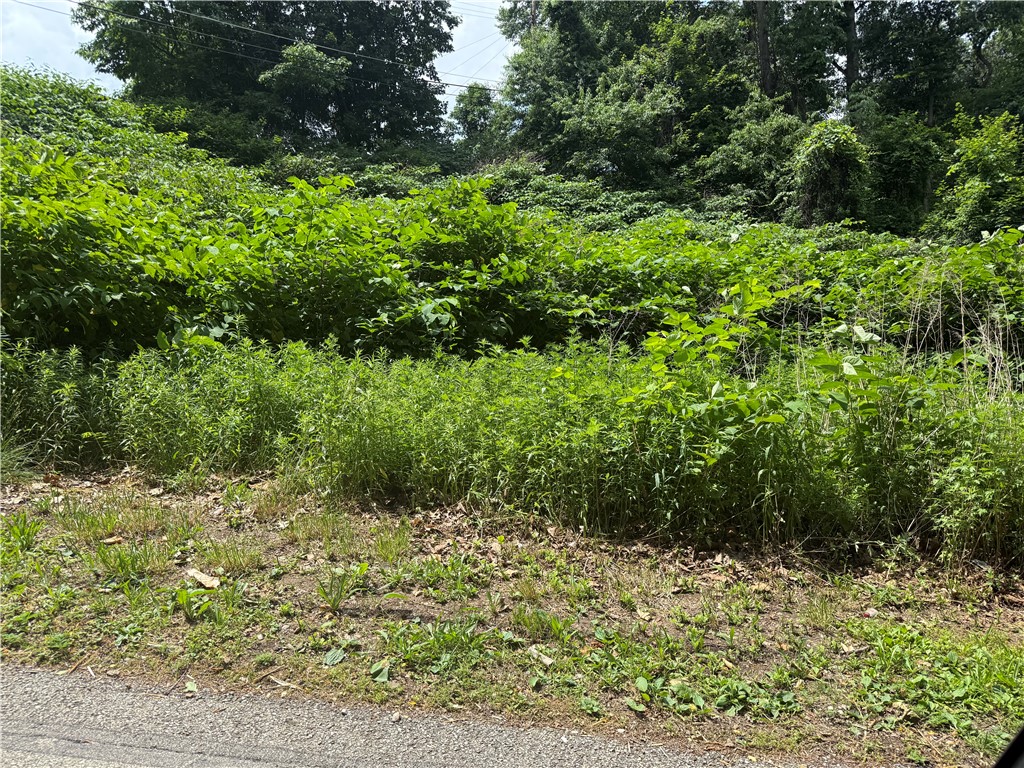 Lot #3 Laurel Hill Drive — photo 1