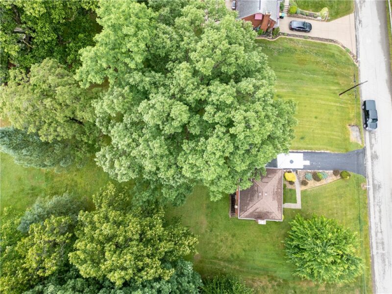 117 Dennis Drive — photo 4