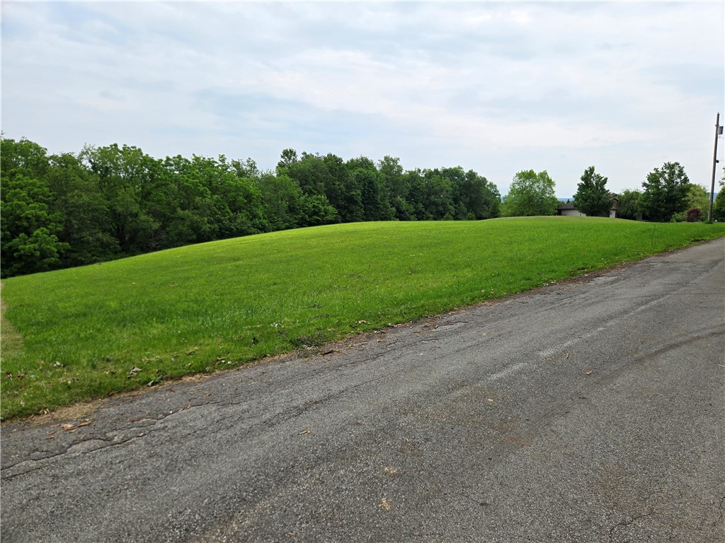 0 Mt Olive Rd — photo 1