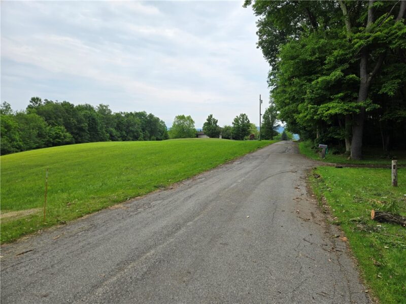 0 Mt Olive Rd — photo 2