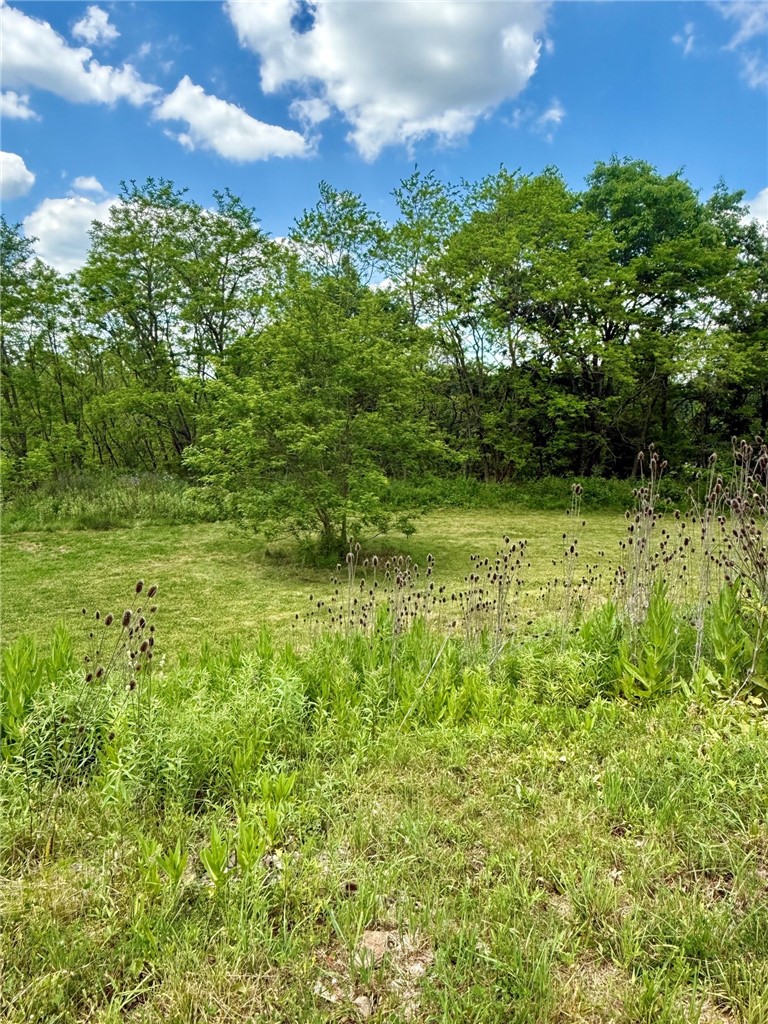 307 Mary Beth Drive — photo 4