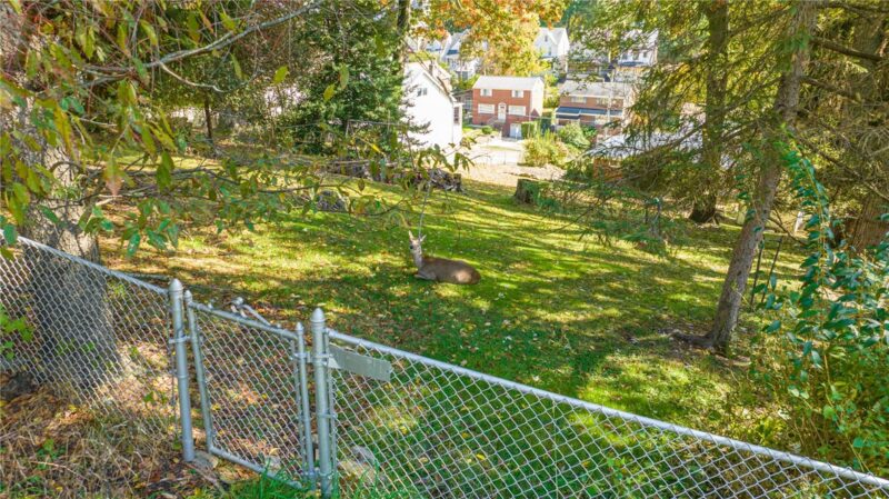 0-B Seward St — photo 4