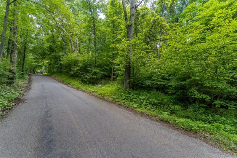 000 Dehaven Rd — photo 3