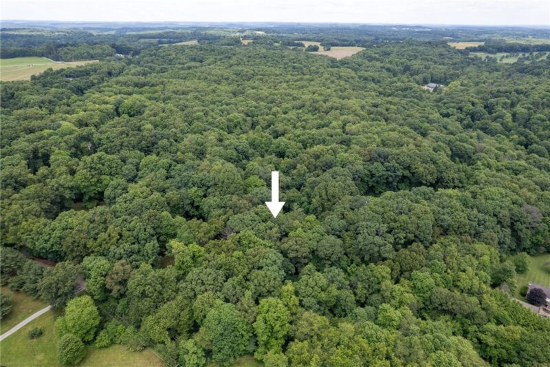 000 Dehaven Rd — photo 4