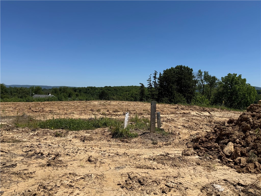 1570 Lois Road Lot 9-C — photo 1