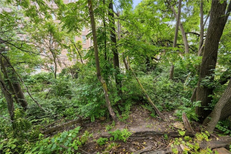 0 E Carson St — photo 8