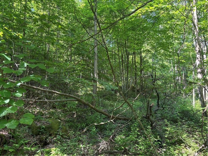 000 Fowl Hill Rd — photo 1