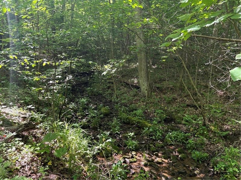 000 Fowl Hill Rd — photo 2