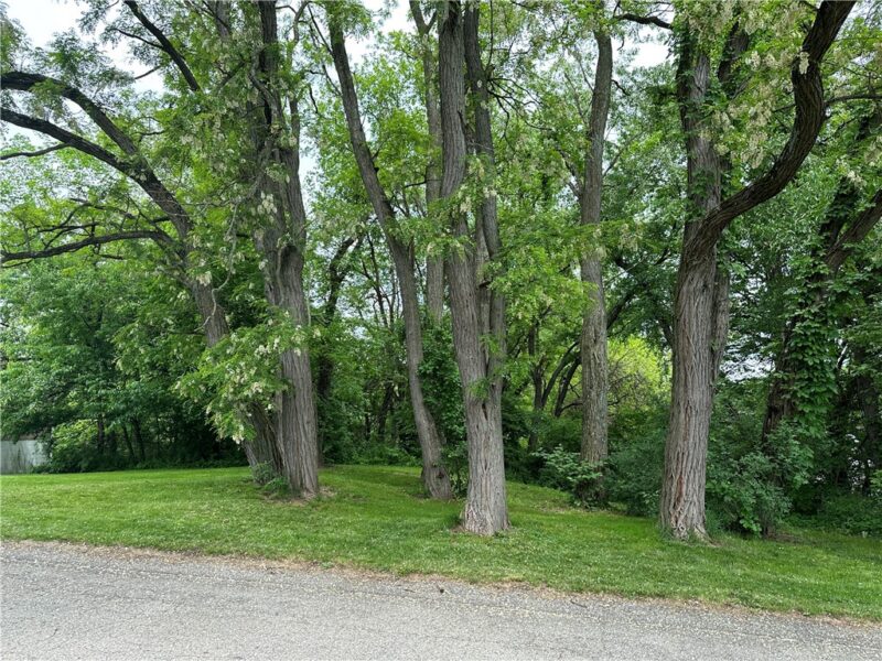 625 Hall Avenue — photo 3