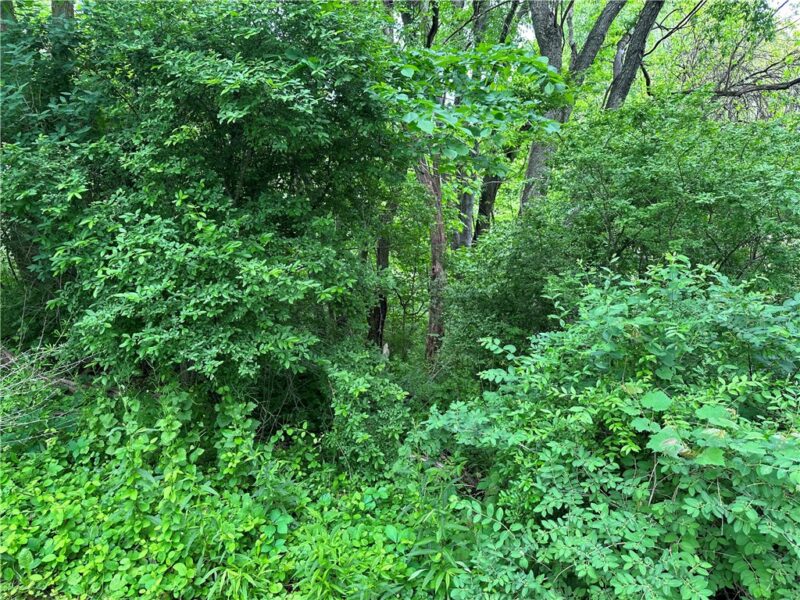 625 Hall Avenue — photo 5