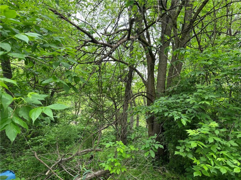 625 Hall Avenue — photo 6
