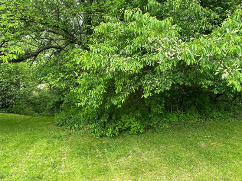 625 Hall Avenue — photo 7