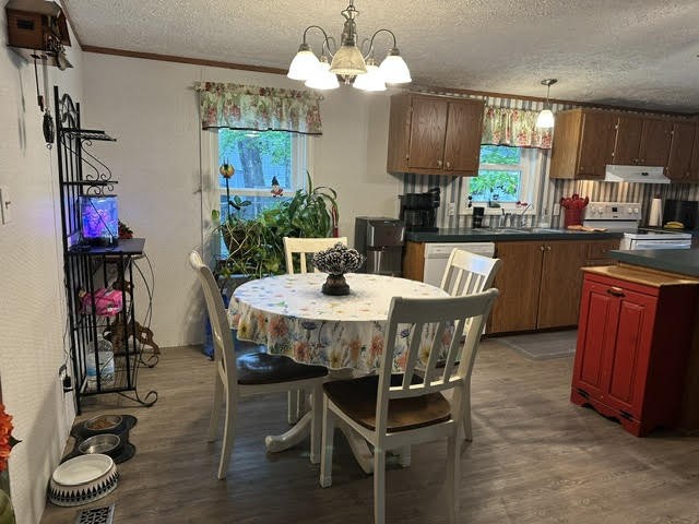 590 Primrose Lane — photo 7