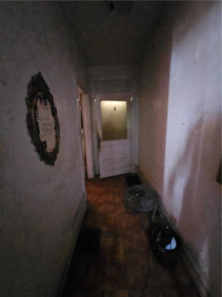 3341 Webster Ave — photo 5