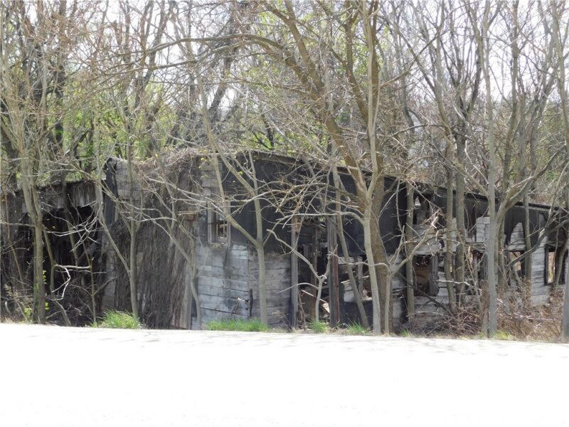 - University Drive — photo 6