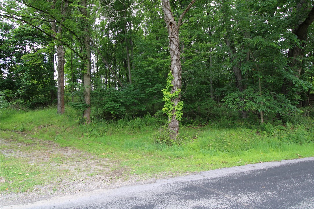 0 Campground Rd — photo 1