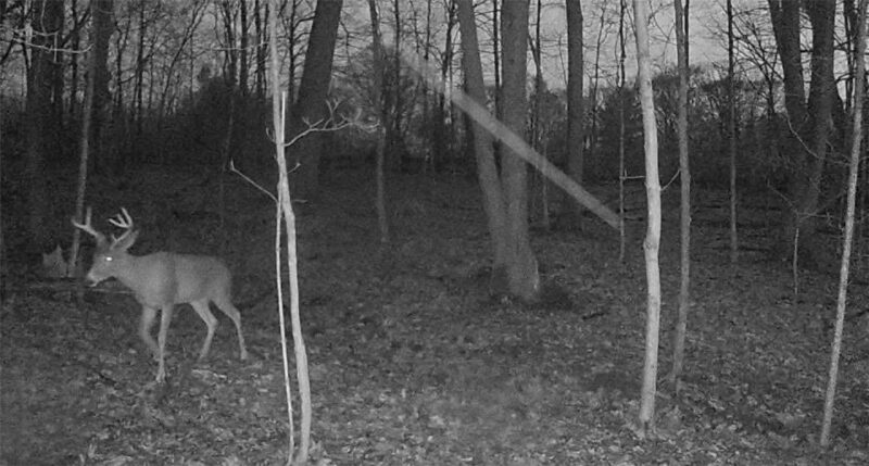 0 Campground Rd — photo 4