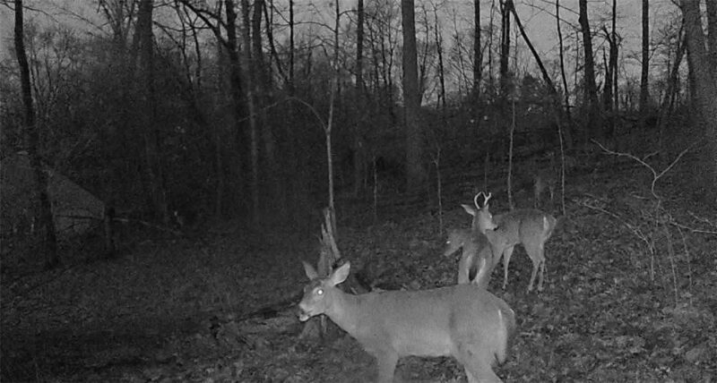 0 Campground Rd — photo 5