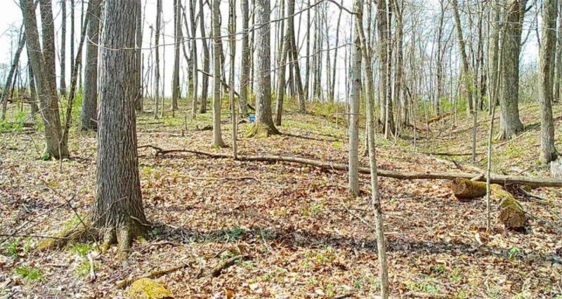 0 Campground Rd — photo 6