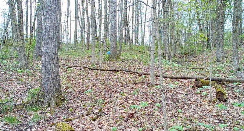 0 Campground Rd — photo 7