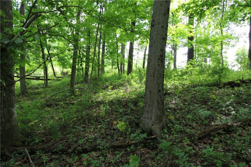 0 Campground Rd — photo 8