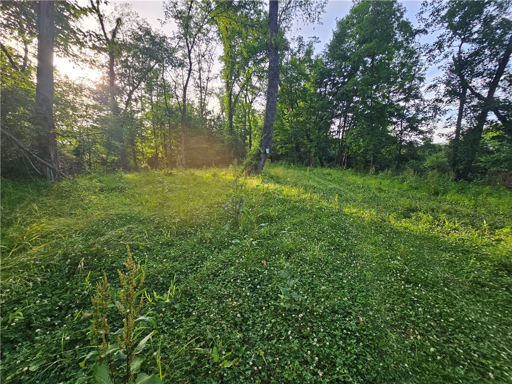 0 Fallen Timber Rd — photo 1