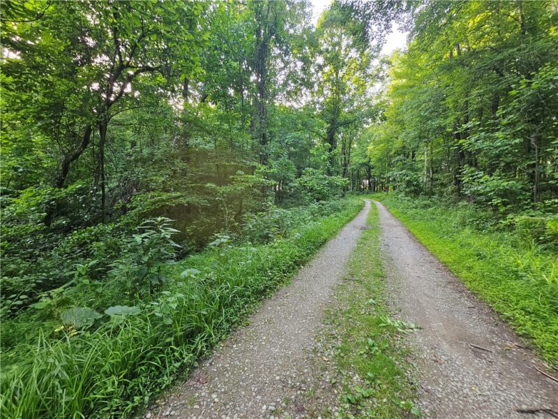 0 Fallen Timber Rd — photo 3