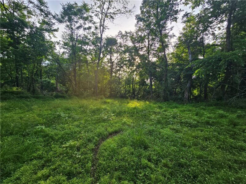 0 Fallen Timber Rd — photo 4