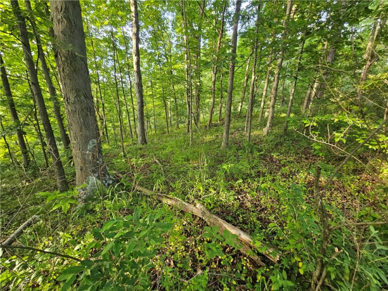 0 Fallen Timber Rd — photo 7