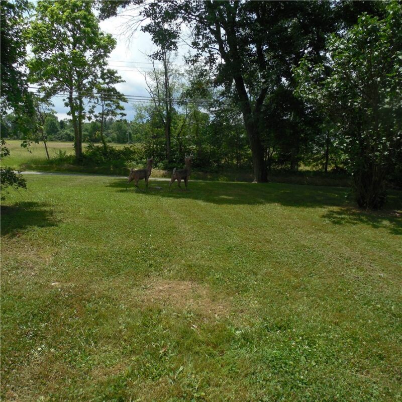 1555 OLD PRINCETON ROAD — photo 7