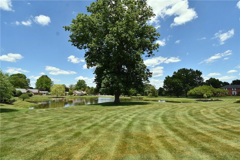114 Club House — photo 5