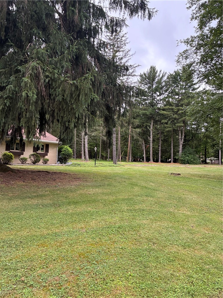 397 Hadley Road — photo 4